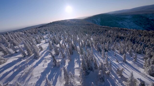 Winter flight through Arctic Boreal Forest