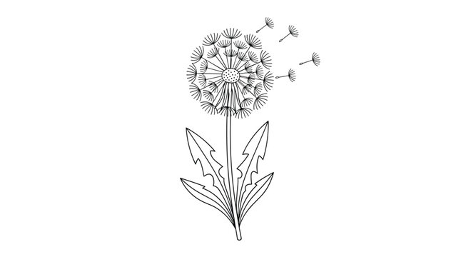 Beautiful black and white line art of a dandelion flower with its delicate seeds being blown away by the wind on a white background.