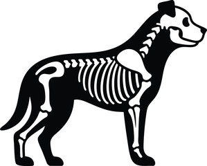 Fototapeta premium Dog skeleton structure silhouette vector illustration xray style graphic isolated on a white background