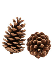 白い背景に分離された、自然な茶色の質感を持つ2つの異なる形の松ぼっくり。クリスマスや秋の装飾、自然素材のプロジェクトに最適なクローズアップ写真。