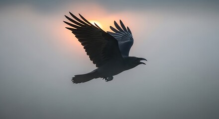 Fototapeta premium Silhouette of bird flying at sunset.