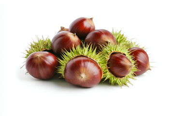 Pile of fresh sweet chestnuts with green spiky husks isolated on white background