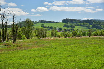 Fototapeta premium Protected landscape area Èesky les near Nemanice, spring season. Natural area with meadows and forests.