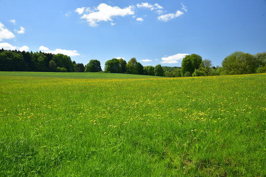 Protected landscape area &Egrave;esky les near Nemanice, spring season. Natural area with meadows and forests.