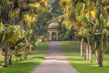 Obraz premium Peradeniya, Royal Botanic Gardens near of Kandy town in Sri Lanka. Arched Pavilion at the End of a Palm-Lined Pathway in a Lush Tropical Park on a Sunny Day, Evoking Tranquility and Natural Beauty