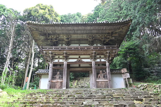 安土城跡に佇む仁王門と石段の歴史的風景
Historic Nio Gate and stone steps at the ruins of Azuchi Castle