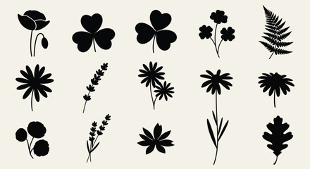 A collection of various leaf and flower illustrations in black and white © Raju