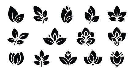 A collection of various leaf designs in a symmetrical pattern on a white background © Raju
