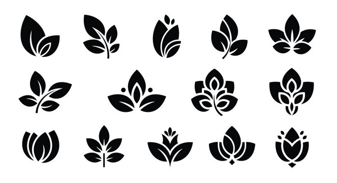 A collection of various leaf designs in a symmetrical pattern on a white background