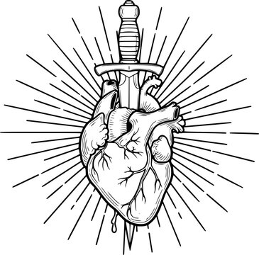 Anatomical Heart Pierced by Sword with Radiating Lines Black and White Line dagger