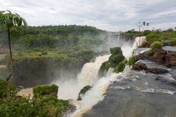 Fototapeta premium Scenic landscape with Iguazu River at Iguazu National Park with famous Iguazu Falls on a cloudy spring day. Photo taken October 7th, 2025, Iguazu National Park, Argentina.