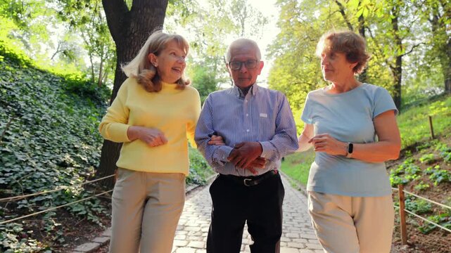 Elderly walk chat. Elderly individuals walking and chatting on shaded pathway comfortably. Older adults enjoying peaceful walk while engaging in animated and supportive conversation