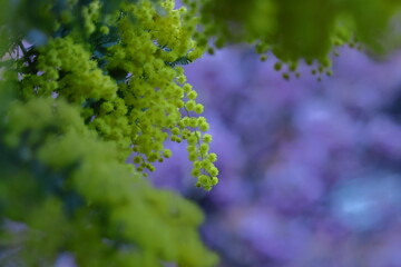 人の心を温かくする存在感