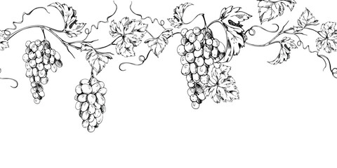 Naklejka premium Seamless grapevine banner with repeating grape clusters, leaves and tendrils flowing horizontally. Isolated ink vector illustration. Website headers, wine labels, packaging borders, menu decoration.