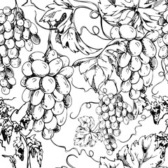 Seamless grapevine pattern with repeating grape clusters, leaves and curling tendrils. Ink vector illustration hand drawn for textiles, wrapping paper, wine wallpaper, table linens, tea towels.