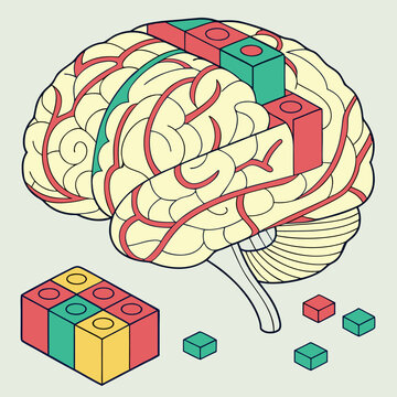 Brain with building blocks representing modular thinking and cognitive processes.