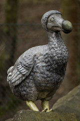 Figurine of the extinct dodo, displayed outdoors. © lapis2380