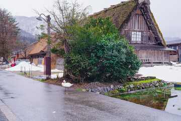 白川郷の美しい家 © rika_portrait