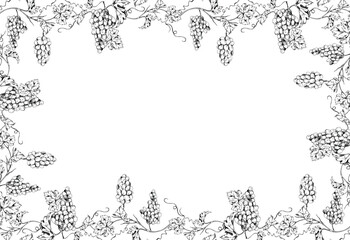 Naklejka premium Grape vine frame formed by grape clusters, leaves and curling tendrils arranged in a decorative border. Isolated ink vector illustration. Hand drawn for wine labels, invitations, posters, branding.