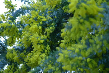 人の心を温かくする存在感