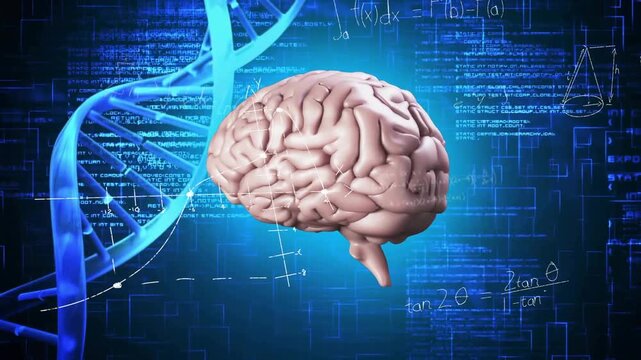Animation starting, 3D brain rotating, DNA helix waving, graphs linking brain for science study