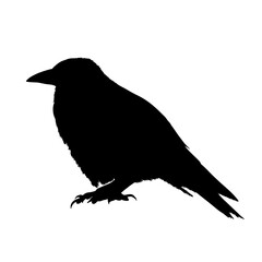 Fototapeta premium Raven bird sitting black hand drawn silhouette isolated on transparent background. Vector PNG