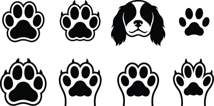 Vector illustration of dog paw prints and a Cavalier King Charles Spaniel head, suitable for pet-themed designs
