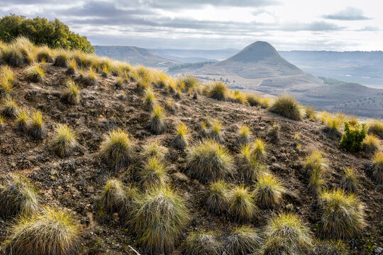 Cerro de Las Maricas tras los arbustos