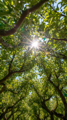 Fototapeta premium Radiant rays streaming through apple tree foliage, lush green park scene with bokeh