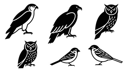Obraz premium Bird Silhouettes Collection: Falcon, Eagle, Owl, and Sparrow Graphic Icons Set