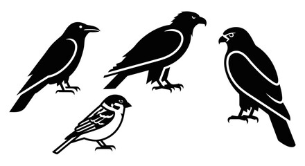 Collection of black bird silhouettes: crow, eagles, and sparrow on white background