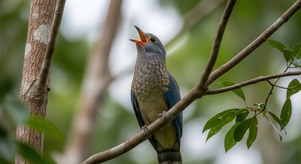 Vibrant Bird Singing on Tree Branch in Natural Forest Setting