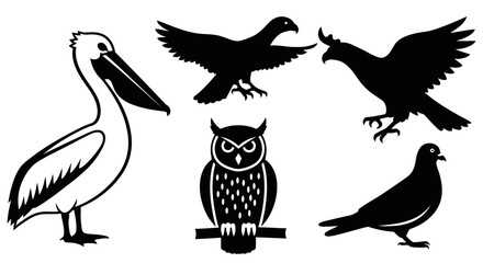 Obraz premium Diverse Bird Silhouettes and Outline Icons Collection: Pelican, Owl, Eagle, and Pigeon