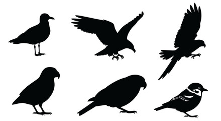 Obraz premium Diverse Bird Silhouettes Collection: Black Vector Shapes of Flying and Perching Wild Birds