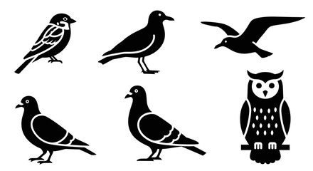 Obraz premium Diverse Bird Silhouettes Vector Collection: Sparrow, Crow, Seagull, Pigeon, and Owl Icons