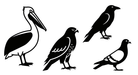 Fototapeta premium Diverse Bird Species Collection: Pelican, Hawk, Crow, and Pigeon Silhouettes and Outlines