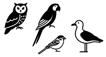 Obraz premium Diverse Black and White Bird Collection: Owl, Parrot, Sparrow, and Seagull Illustrations