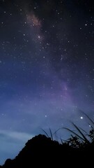 Fototapeta premium The image captures a stunning night sky filled with countless stars and the luminous band of the Milky Way, set against a gradient blue-purple backdrop with dark silhouettes of vegetation and terrain 