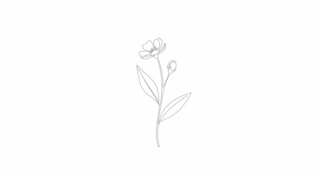 Single delicate flower with closed bud and leaves in continuous line art isolated white background