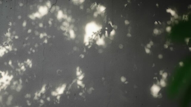 Sunlight shining through tree leaves soft nature background with bokeh light