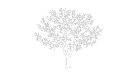 Fototapeta premium Continuous Line Art Drawing of a Delicate Finely Detailed Foliage Tree on an Isolated White Background, Minimalist Graceful Tree