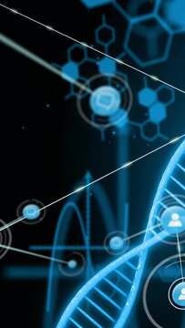 Vertical video: DNA helix pulsing while streaks sweeping causing nodes forming biotech data view