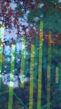 Vertical video: Rain starting, red leaves swaying while green EQ bars appearing, pulsing for tech