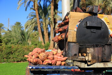 Iconic Egyptian Street Food - Batata Cart with Sweet Potatoes (Egypt) © Marco Benedetti