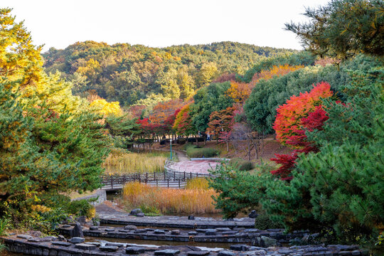 Scenic autumn landscape of Ulsan Grand Park in South Korea with colorful foliage and a walking path
