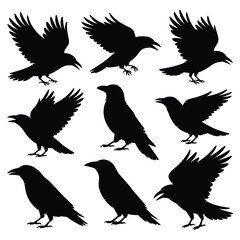 Fototapeta premium Nine black silhouettes of crows in different poses