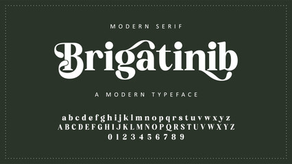 Elegant Font Uppercase Lowercase and Number. Classic Lettering Minimal Fashion Designs. Typography modern serif fonts regular decorative vintage concept. vector illustration © ch