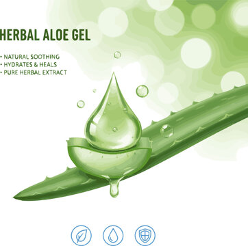 Isolated a realistic Green drop aloe vera on aloevera leaf with green bokeh background for herb serum and gel concept. 3D rendering. vector art with white background..