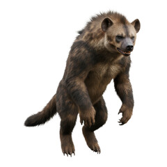 Fototapeta premium Brown Hyena with Striped Fur Standing Upright