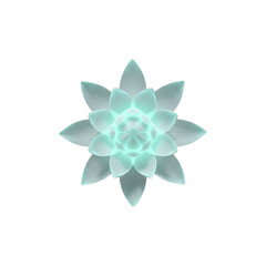 Obraz premium Luminous Teal Succulent Plant Bloom